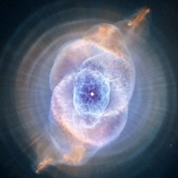 Thumbnail for Super Mega Extension Professional Service